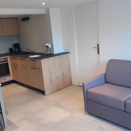 Logement Entier 4 Personnes Villefranche Sur Saone Екстериор снимка